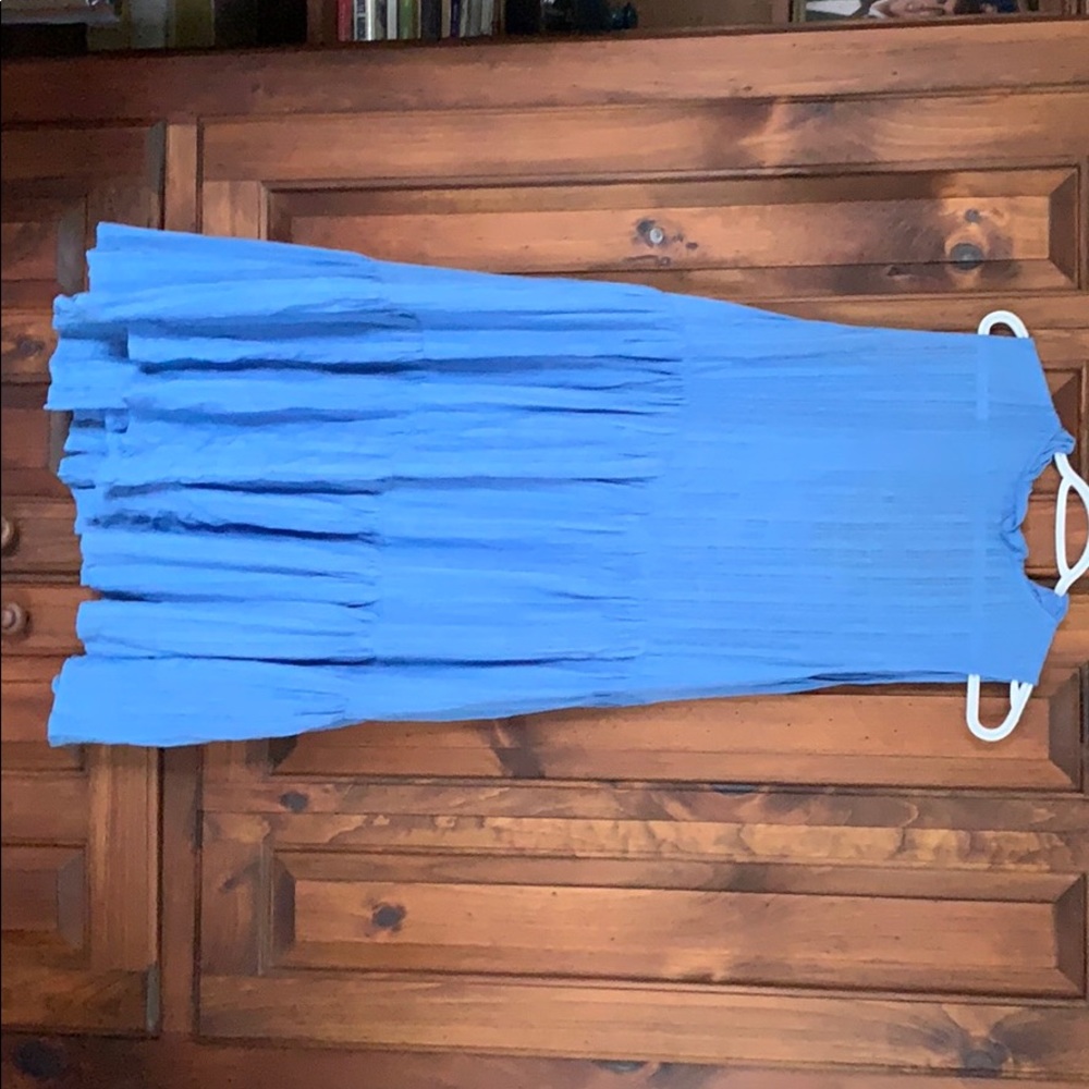 blue dress (worn once)